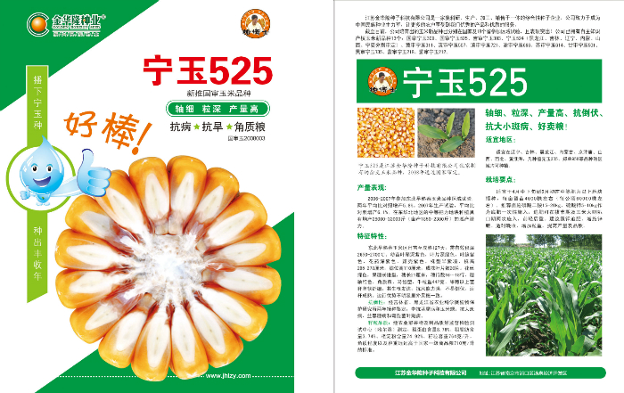 寧玉525