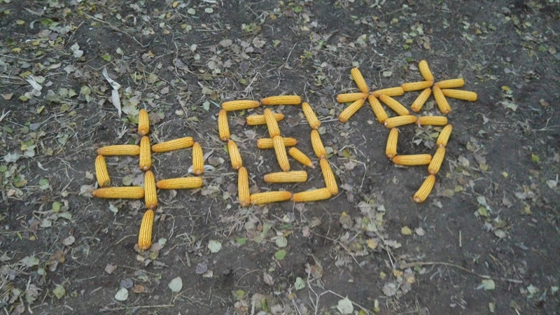 中國夢,寧玉種