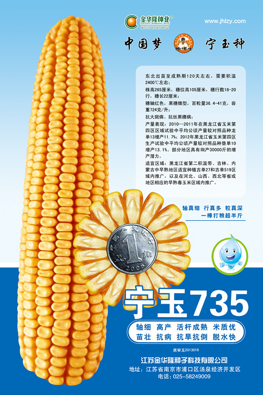 寧玉735