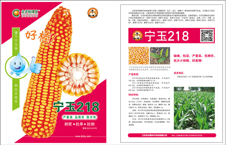 寧玉218